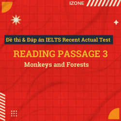 Đề thi & Đáp án IELTS Recent Actual Test – Reading passage 3 – Monkeys and Forests