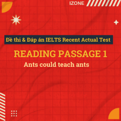 Đề thi & Đáp án IELTS Recent Actual Test – Reading passage 1 – Ants could teach ants