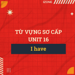 Từ vựng sơ cấp – Unit 16: I have