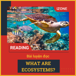 Oxford Read & Discover – Unit 25: What are ecosystems?