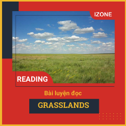 Oxford Read & Discover – Unit 26: Grasslands