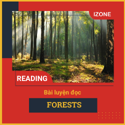 Oxford Read & Discover – Unit 27: Forests