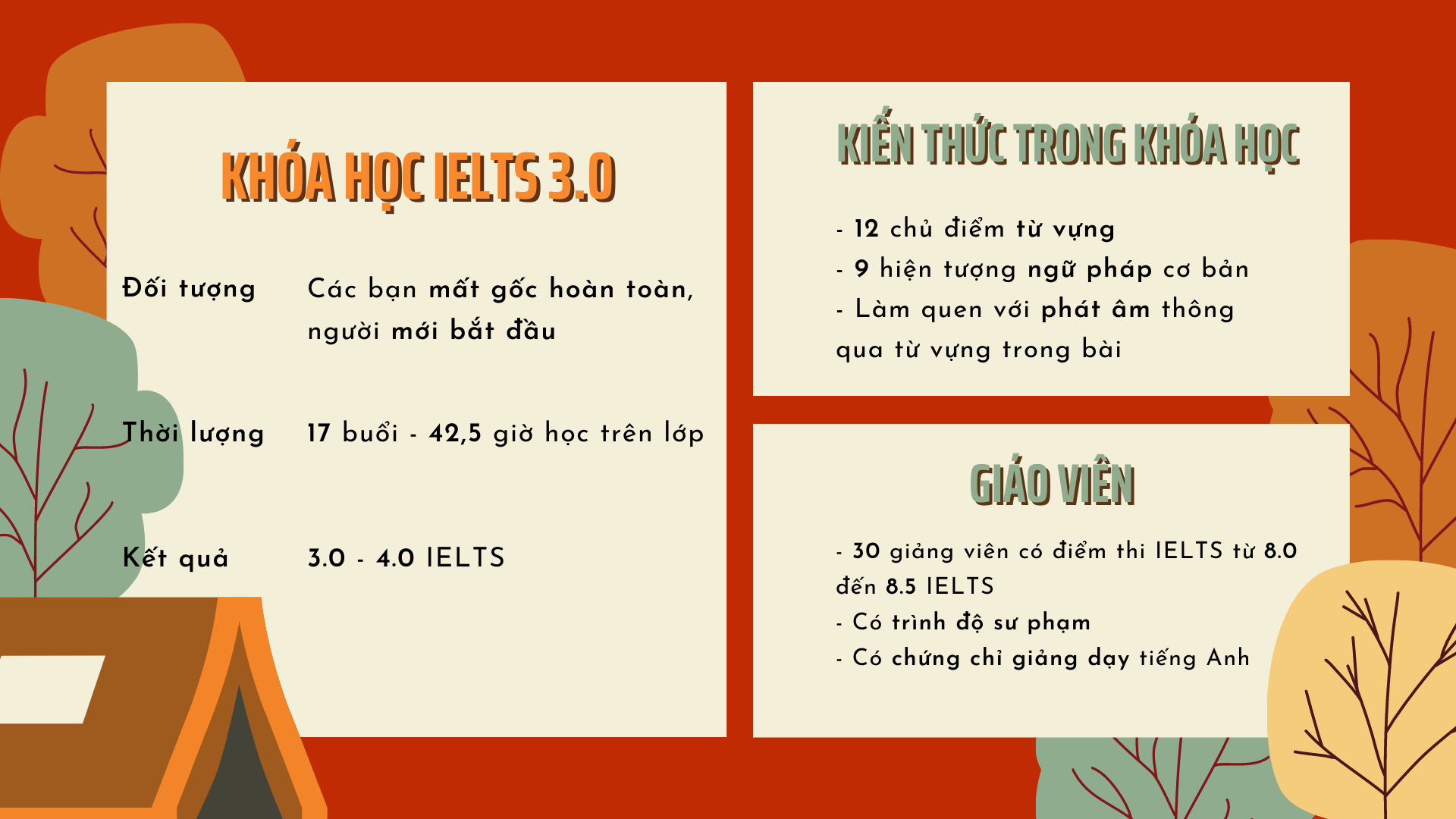 Khóa học IELTS 3.0