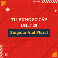 Từ vựng sơ cấp – Unit 29: Train(S) Bus(Es) (Singular And Plural – Số Ít Và Số Nhiều)