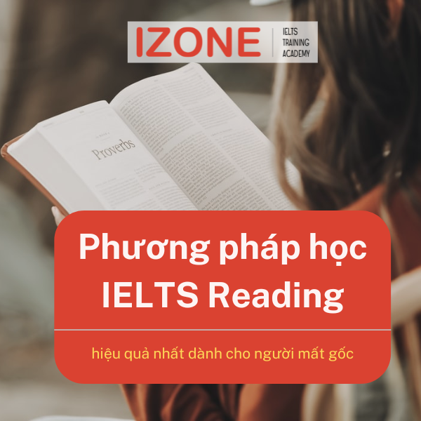 7 Phương pháp tự học IELTS Reading tại nhà hiệu quả cho người mất gốc