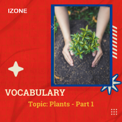 Từ vựng Speaking – Topic Plants – Part 1