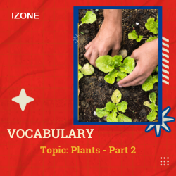 Từ vựng Speaking – Topic Plants – Part 2