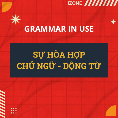 SỰ HÒA HỢP CHỦ NGỮ – ĐỘNG TỪ