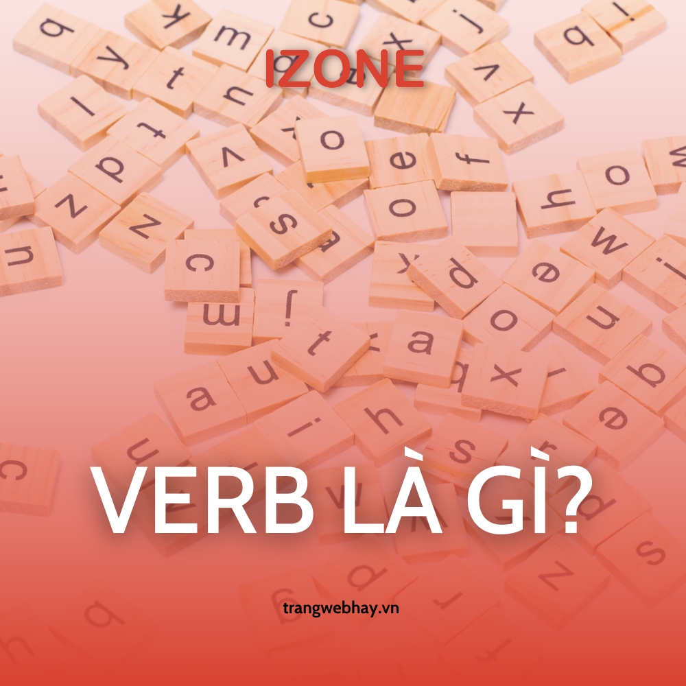 Verb là gì? Phân loại, cách dùng động từ trong tiếng Anh