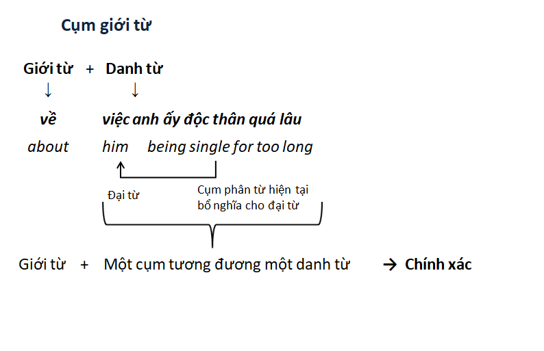 phan-tu-4