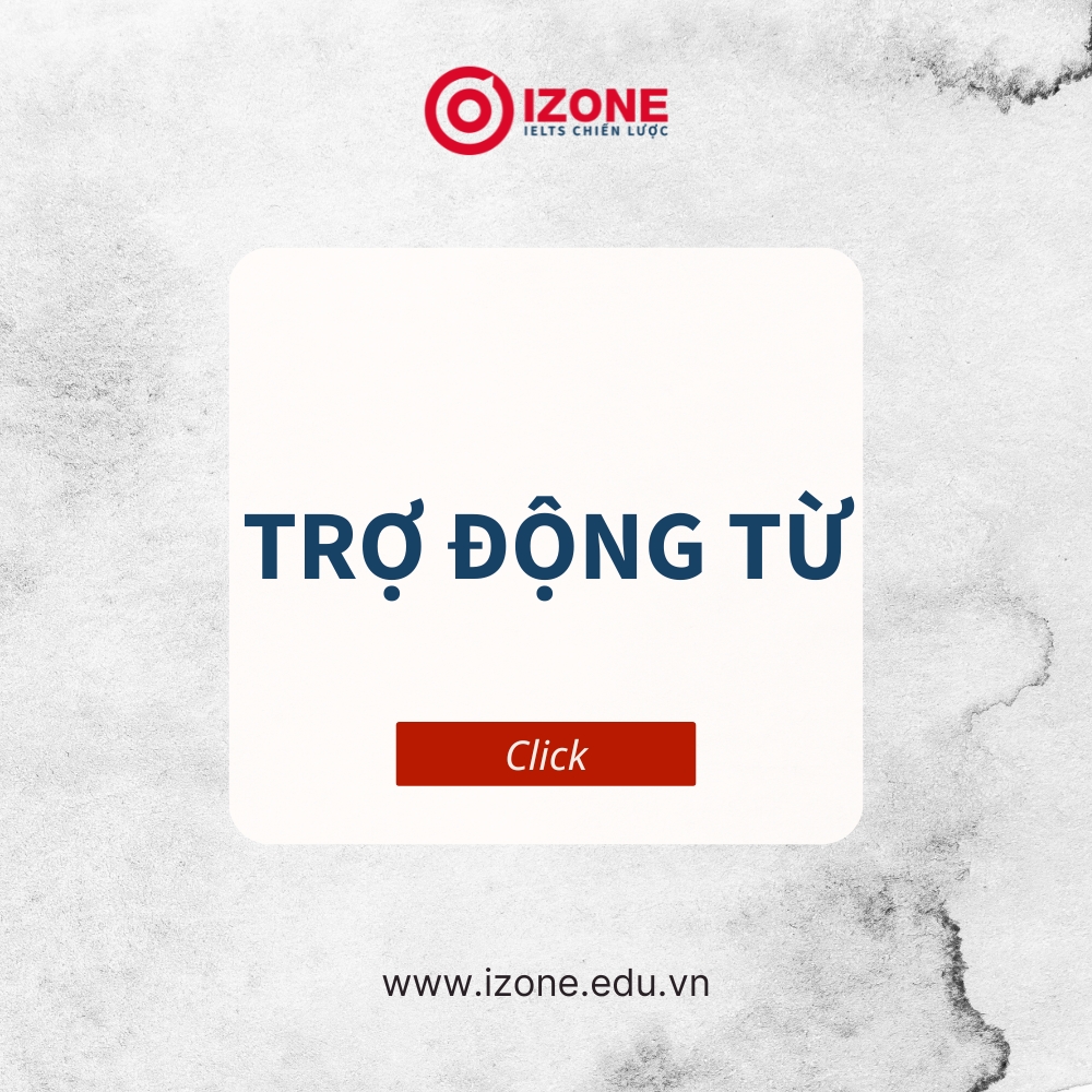 Trợ động từ là gì? Tác dụng, cách dùng và các trợ động từ phổ biến