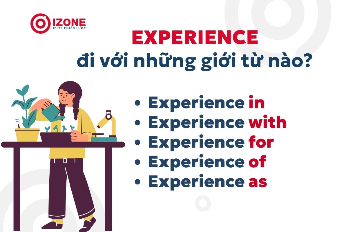 Experience đi với những giới từ nào