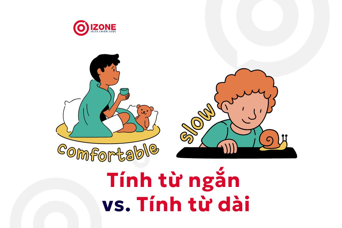 Tính từ ngắn vs. Tính từ dài