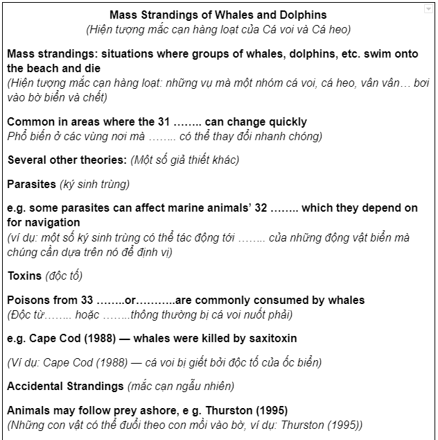 IELTS Listening 9 Test 1 - Section 4: Mass Strandings of Whales and Dolphins