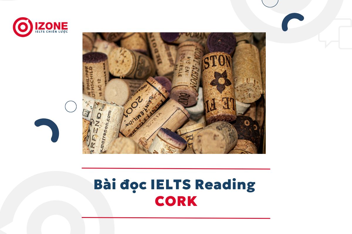 Bài đọc IELTS Reading CORK