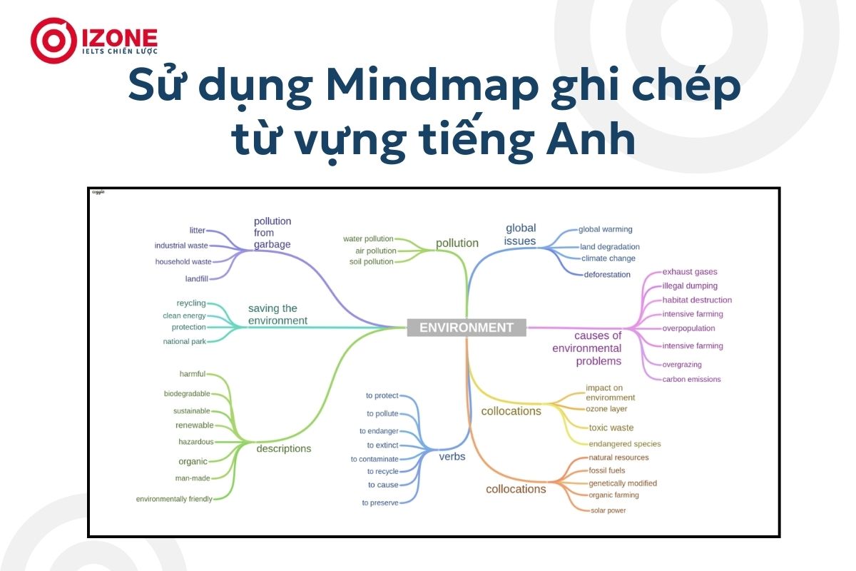 Cách sử dụng phương pháp Mindmap trong quá trình ghi chép ngữ pháp tiếng Anh