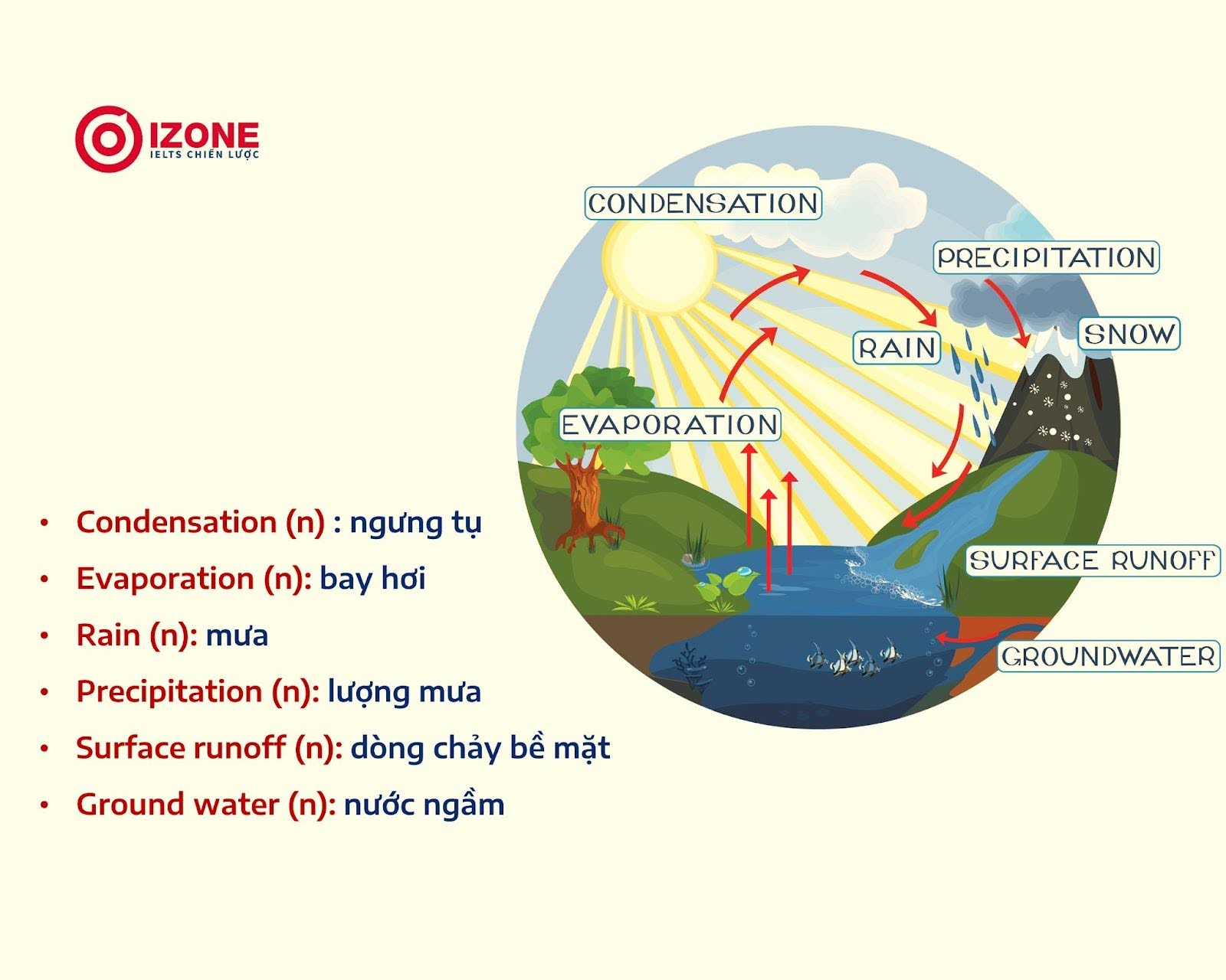 phương pháp CLIL là gì? Giải thích chi tiết quy tắc dạy học bằng phương pháp CLIL