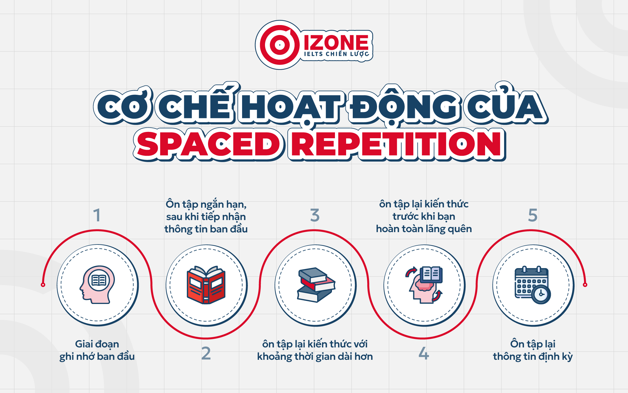 Cơ chế hoạt động của phương pháp Spaced Repetition/lặp lại ngắt quãng hoạt động 