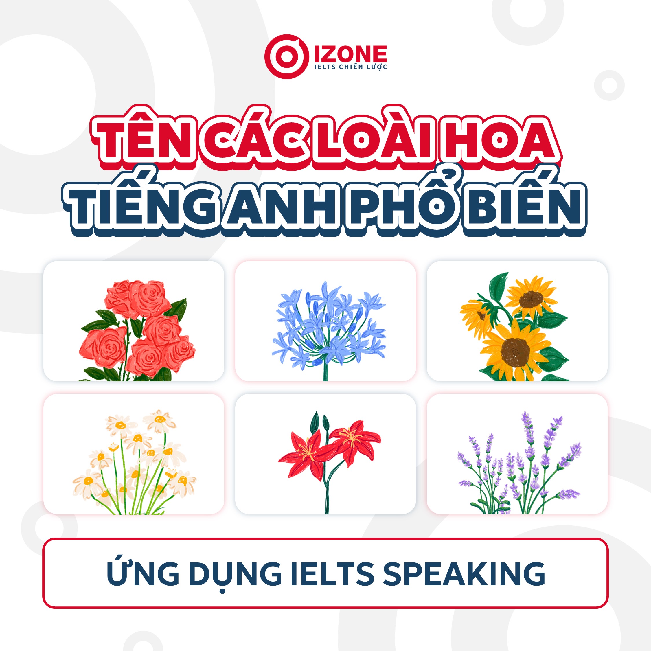 Tổng hợp từ vựng tên các loài hoa tiếng Anh phổ biến & ứng dụng trong IELTS Speaking