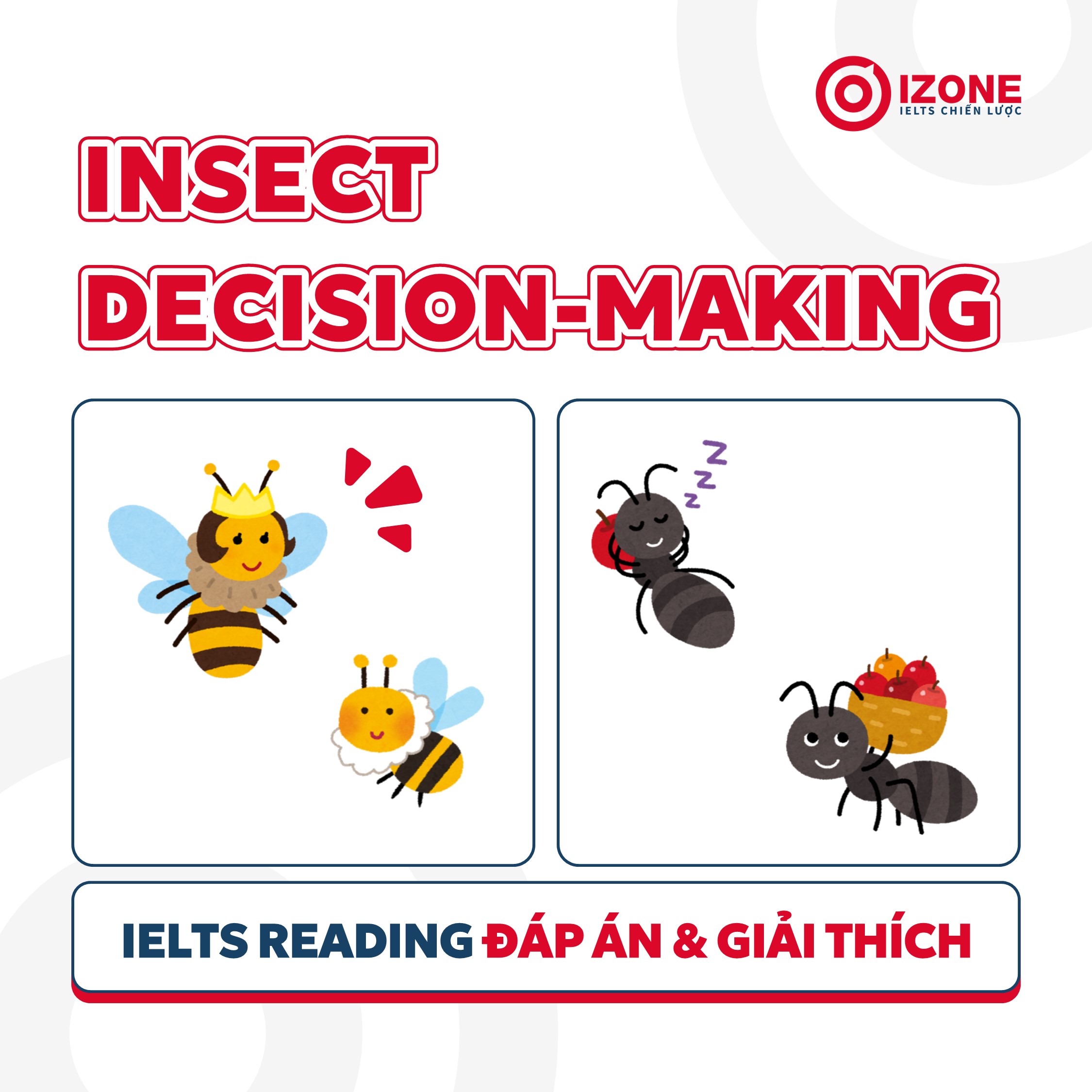 [Đáp án và giải thích chi tiết] Insect decision-making – IELTS Reading