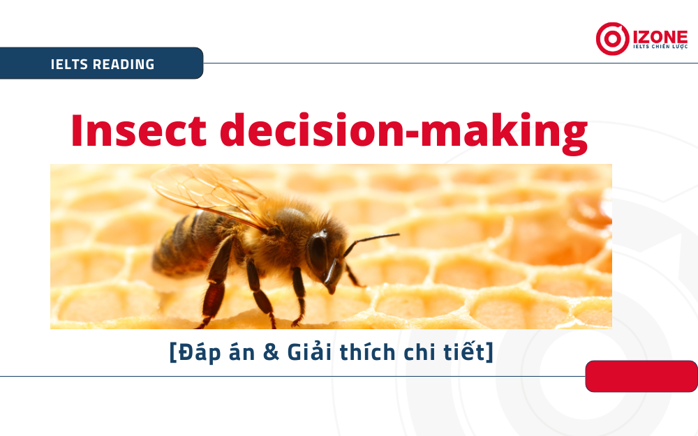 Insect decision-making IELTS Reading