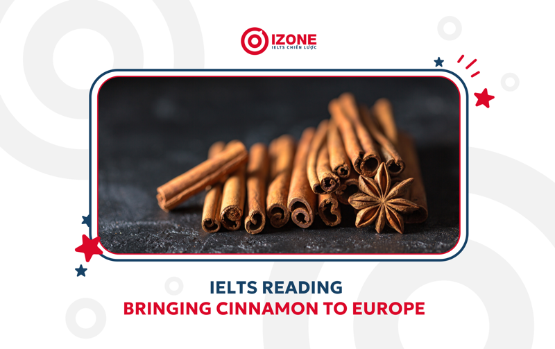 bringing-cinnamon-to-europe